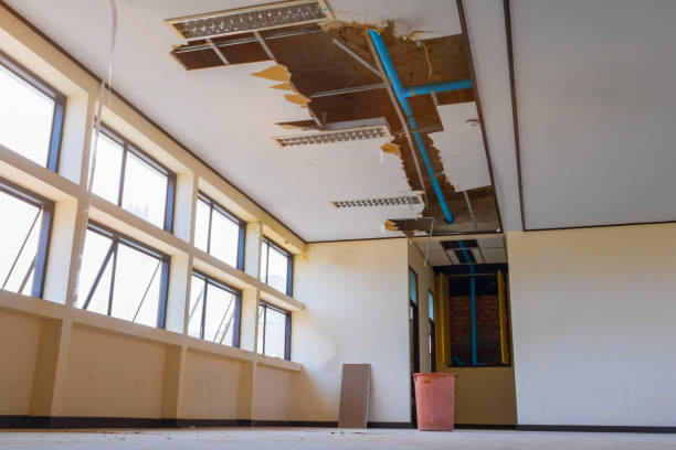 Reliable Mapleton, ND Water damage restoration Solutions