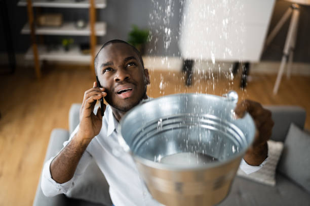 Carpet water damage restoration in Mapleton, ND