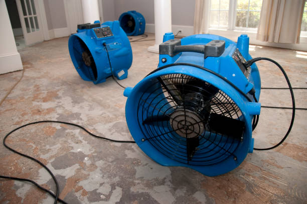 Best Flood damage cleanup  in Mapleton, ND